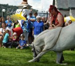 Stages de dressage Frédérique Foiret