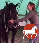 Stages de dressage Marie-Claude Bouillon